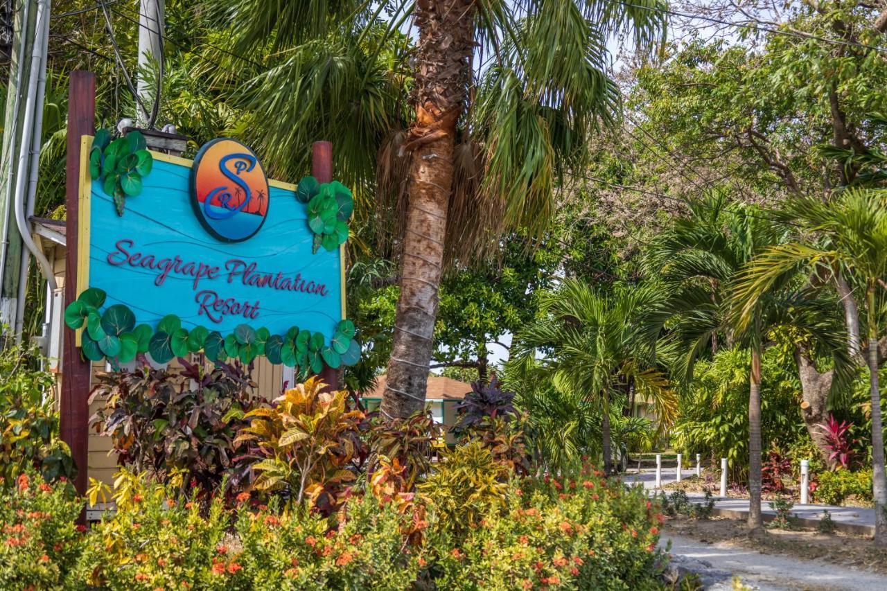 Seagrape Plantation Resort & Dive Center West End Exterior photo