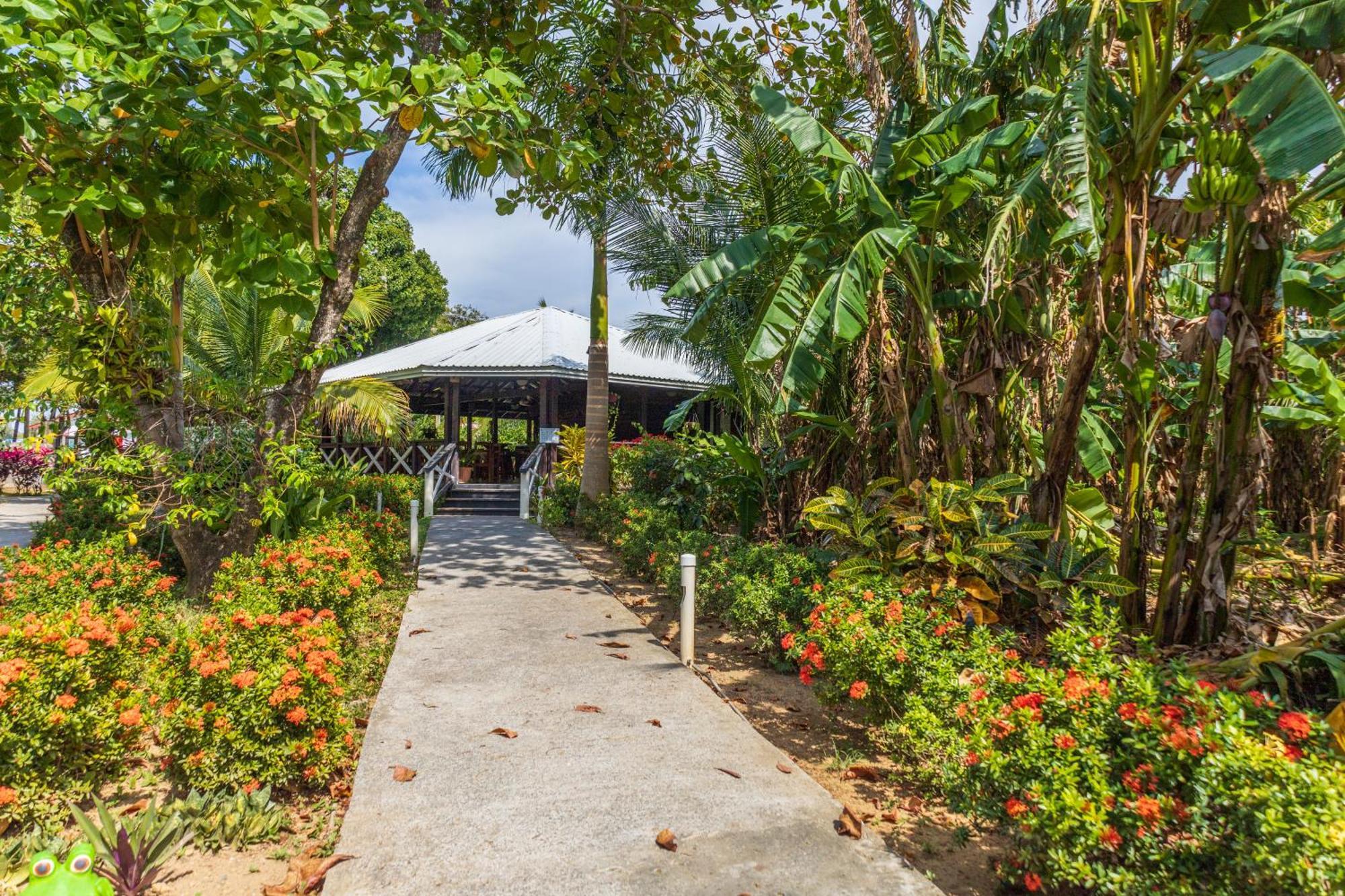 Seagrape Plantation Resort & Dive Center West End Exterior photo