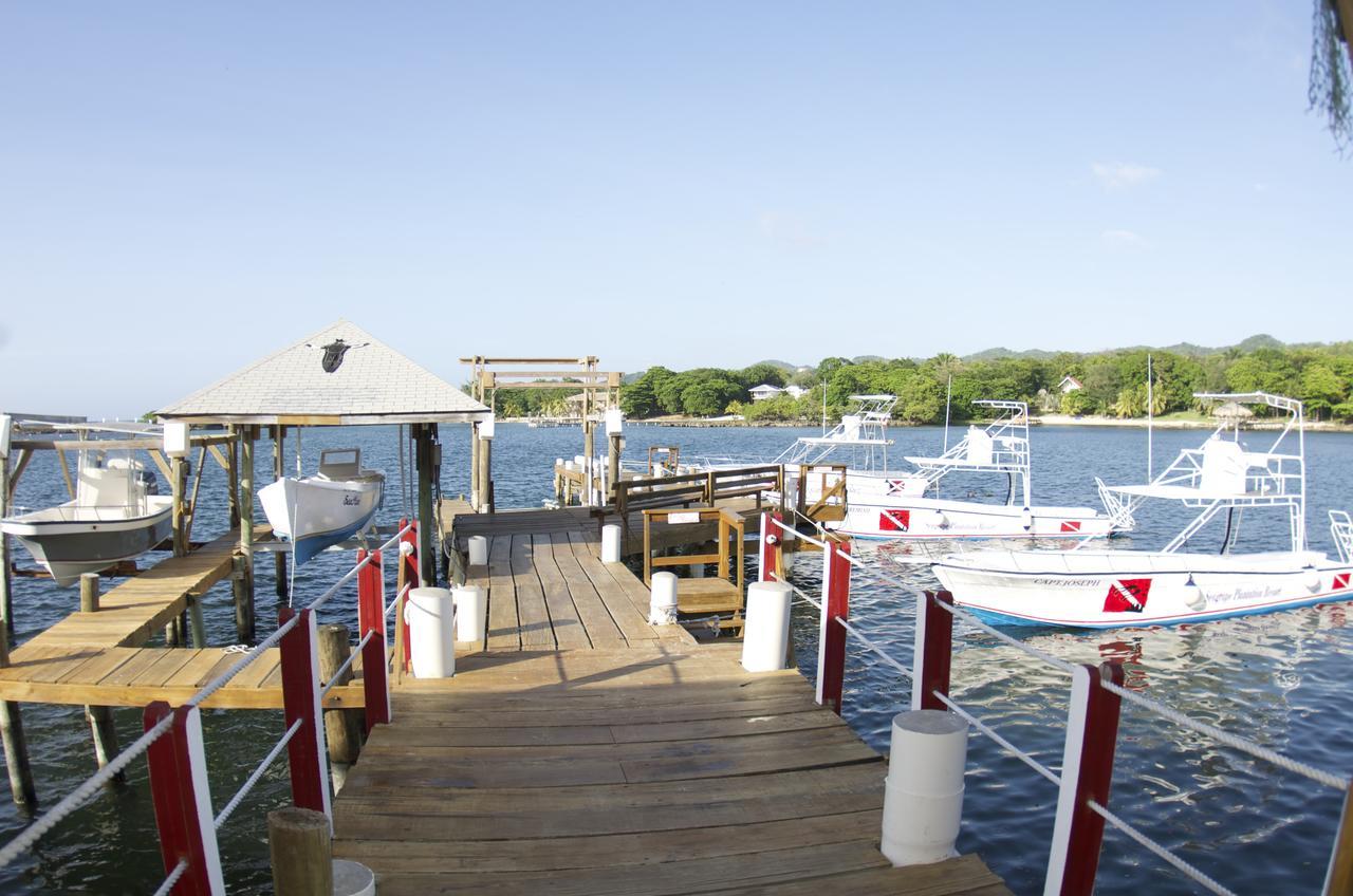 Seagrape Plantation Resort & Dive Center West End Exterior photo