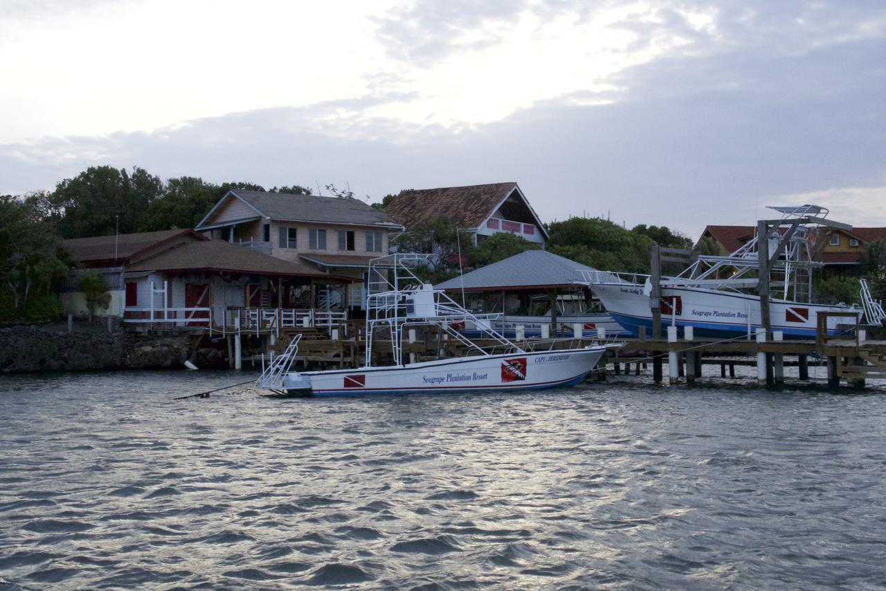 Seagrape Plantation Resort & Dive Center West End Exterior photo