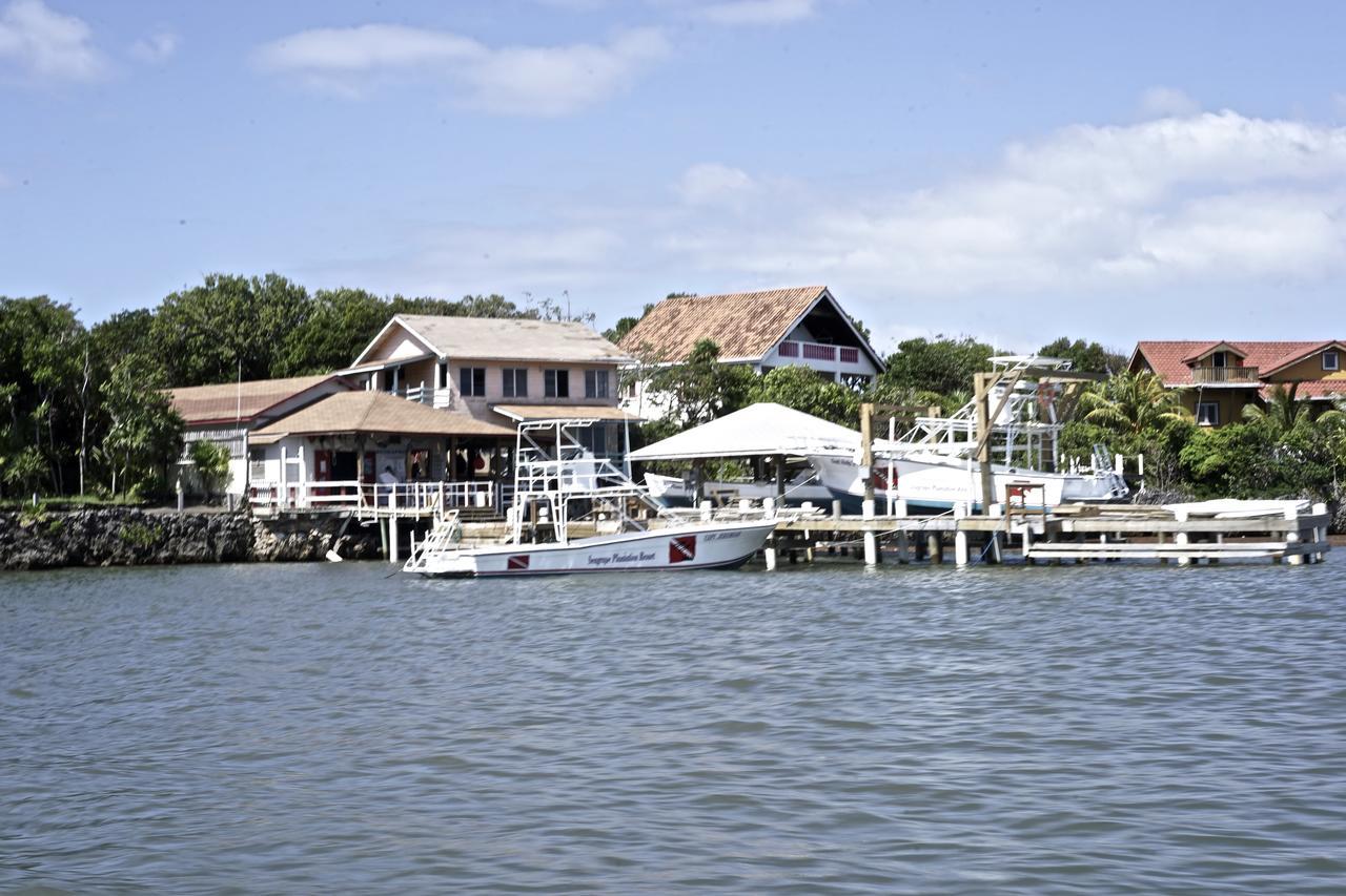 Seagrape Plantation Resort & Dive Center West End Exterior photo