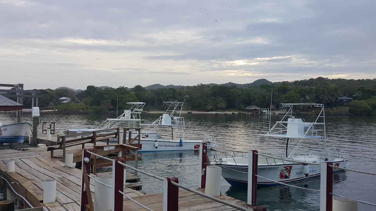 Seagrape Plantation Resort & Dive Center West End Exterior photo